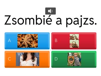 Zs aut jelzős szerk hangos kvíz