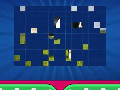 Bugs Team 2 Unit 2 Animals Image Quiz