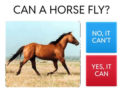 ANIMALS FACTS: can and cant