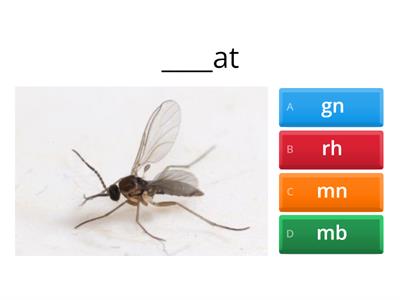 Wilson 12.2 (kn, wr, gn, rh, mn, mn, gh, mb) 