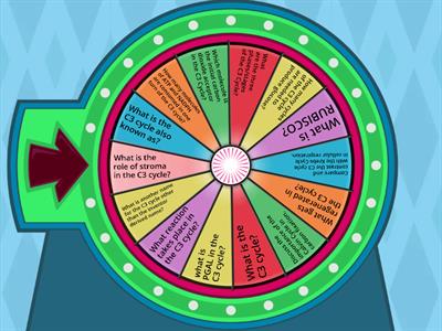 C3 CYCLE!