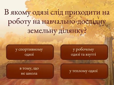 Правила безпечної роботи з інвентарем на пришкільній ділянці.