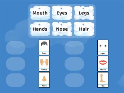 Body Parts Matching activity