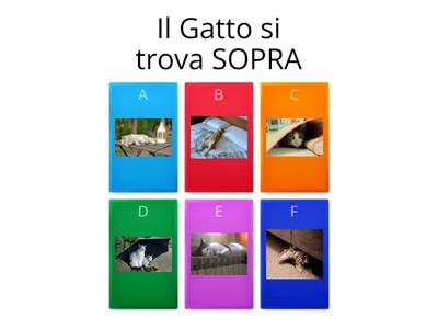 Geografia Classe Prima Primaria: Sopra e Sotto