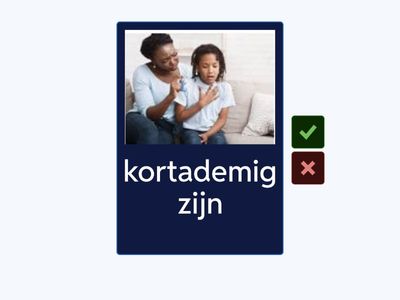 de ademhaling NT2 | flashcards