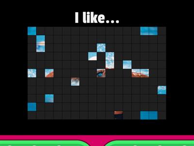 Hobbies & Preferences