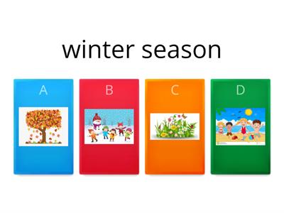 4 seasons