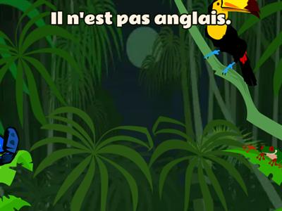 To have and to be negative sentences - French to English translation