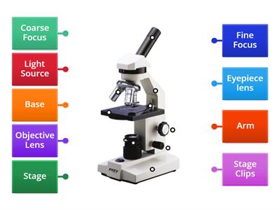 BGE Label the Light Microscope
