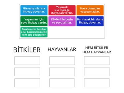 bitkiler ve hayvanlar karşılaştırma 2