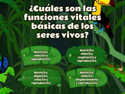 PRÁCTICA CALIFICADA DE FUNCIONES VITALES 