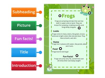 Non-Chronological Report