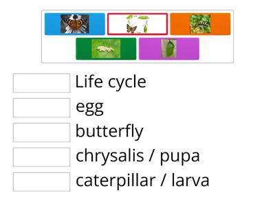 Life cycle LP