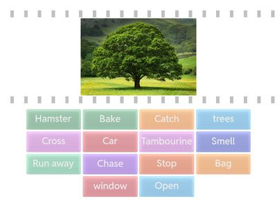 VOCAB UNITS 17 AD 18