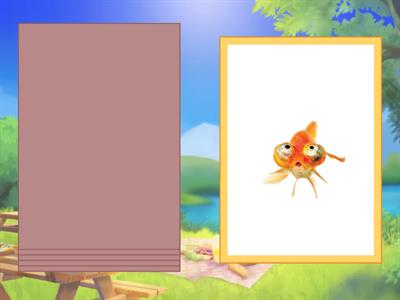 What is this? > What can they do?