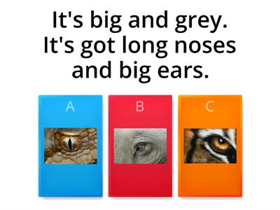 KIDS 3 - Unit 5 - "Wild animals" Quiz