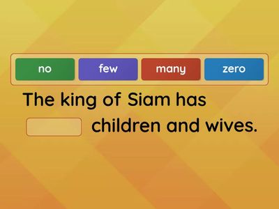 QUANTITATIVE ADJECTIVES