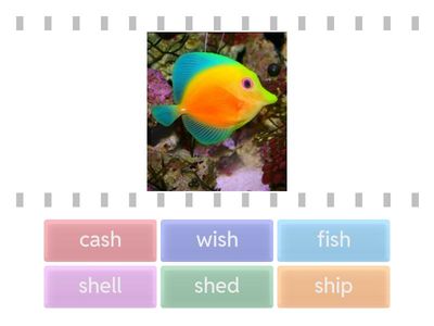 Digraph SH - Find the match