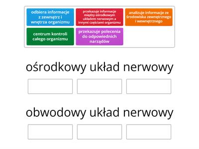 ośrodkowy i obwodowy układ nerwowy