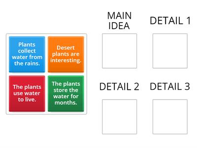 Main Idea and Details Graphic Organizer