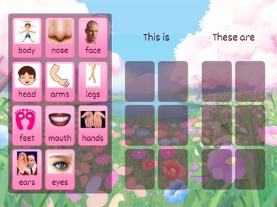 beehive 1 unit 5 lesson 2