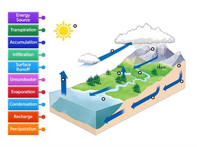 Water Cycle Labeled Diagram 