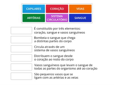  SISTEMA CIRCULATÓRIO