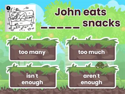 too much / too many / enough 