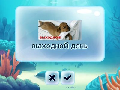 Seasons and periods of time