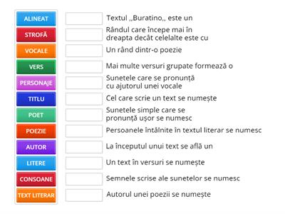comunicare în limba română