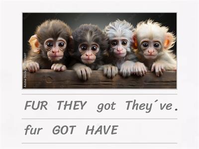 HAVE GOT. 3RD LEVEL UNIT 5 