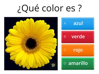 Colores