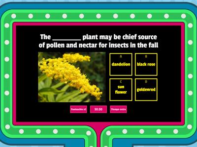 Science quiz 1 fifth grade 