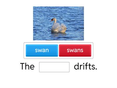 Subject Predicate Agreement