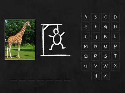 B3 Part 1 - Hangman - Animals