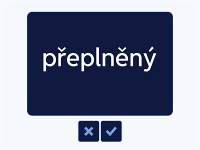 TRAVELLING: vocabulary