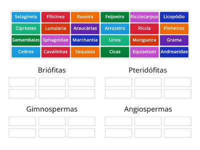 Biologia- Grupos de plantas