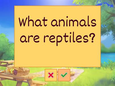 Questions Introduction WWF