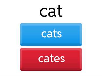 Plural Nouns -- regular 1