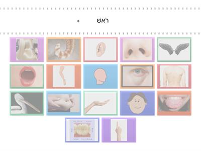 What is the body part? Match the body part with the sound
