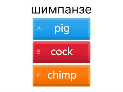 Rainbow English 2 Step 22+25