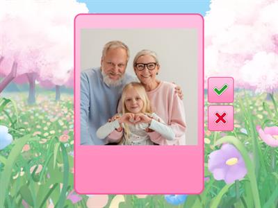 Flashcards ALL - Family