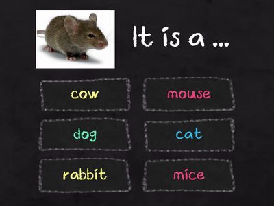  Английский язык