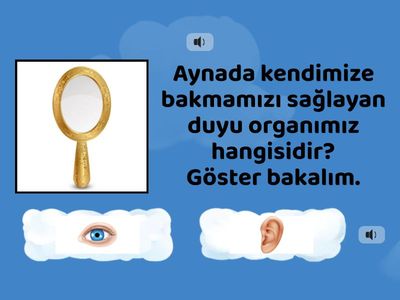 Beş Duyu Organımız 