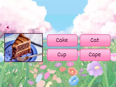 Long Vowel Sound Vocabulary