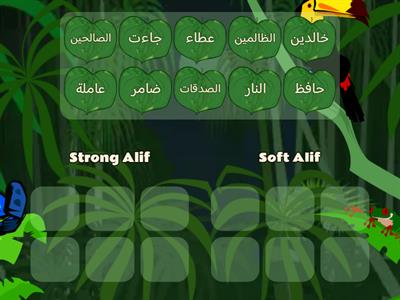 Alif Almad Sometimes Strong, Sometimes Soft letters