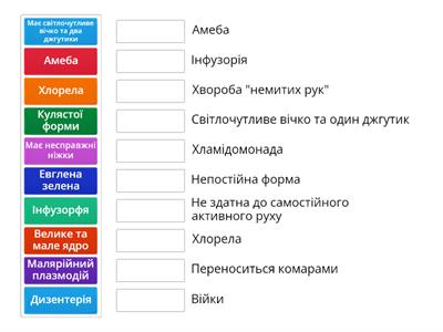 Одноклітинні організми