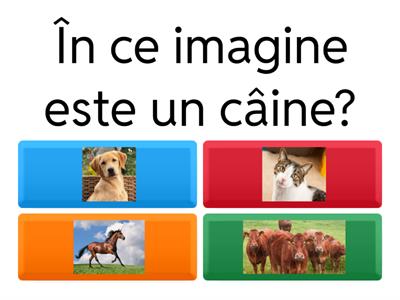 Animale, legume și fructe