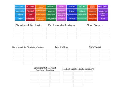 Chapter 19 - Cardiovascular System