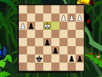 Chess Points Fruit Game (Level 8)